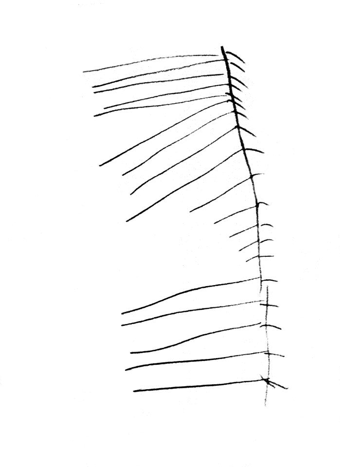 The Unfamiliar Familiar